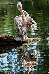 网传《黑神话》DLC已在开发阶段 将带来全新体验